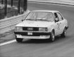 Girolamo Capra (Audi 80), třicátý a poslední v cíli (spolujezdci Gian-Angelo Grandi a Mario Tacchini)