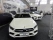 Mercedes-Benz CLS nové generace (C257), za ním S-Klasse Coupé
