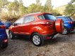 Ford EcoSport vznikl v Brazílii, pro evropské zákazníky se však bude vyrábět v Indii